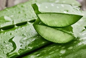 Ce este aloe vera, cum se utilizează și ce beneficii are pentru frumusețe
