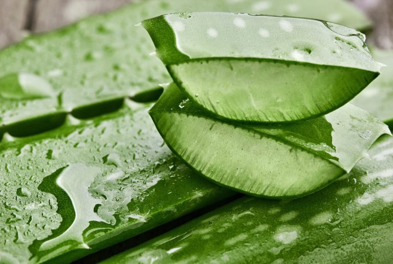 Ce este aloe vera, cum se utilizează și ce beneficii are pentru frumusețe